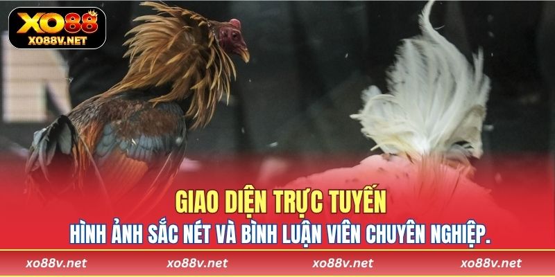 Giao diện trực tuyến với hình ảnh sắc nét và bình luận viên chuyên nghiệp
