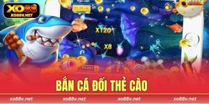 bắn cá đổi thẻ cào