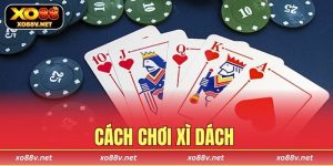 cách chơi xì dách