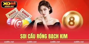 soi cầu Rồng Bạch Kim