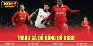 Trang cá độ bóng đá XO88