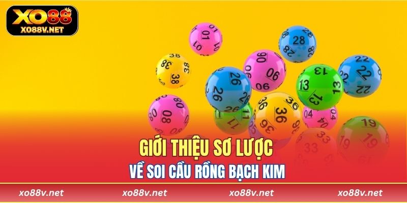 Giới thiệu sơ lược về soi cầu Rồng Bạch Kim