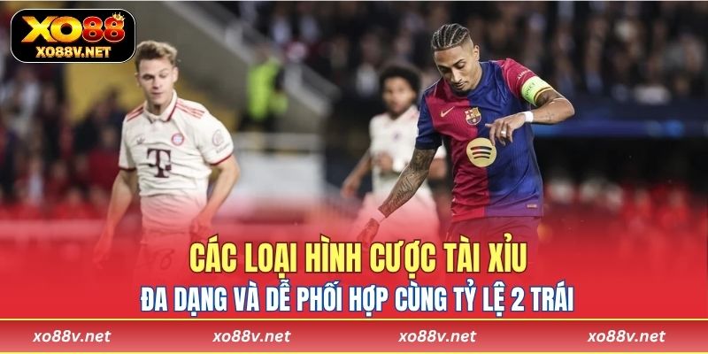 Các loại hình cược tài xỉu đa dạng và dễ phối hợp cùng tỷ lệ 2 trái tại nhà cái XO88