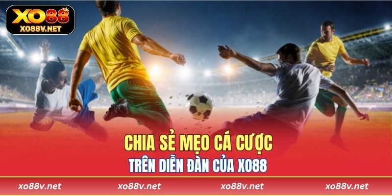 Người chơi chia sẻ mẹo cá cược trên diễn đàn của XO88