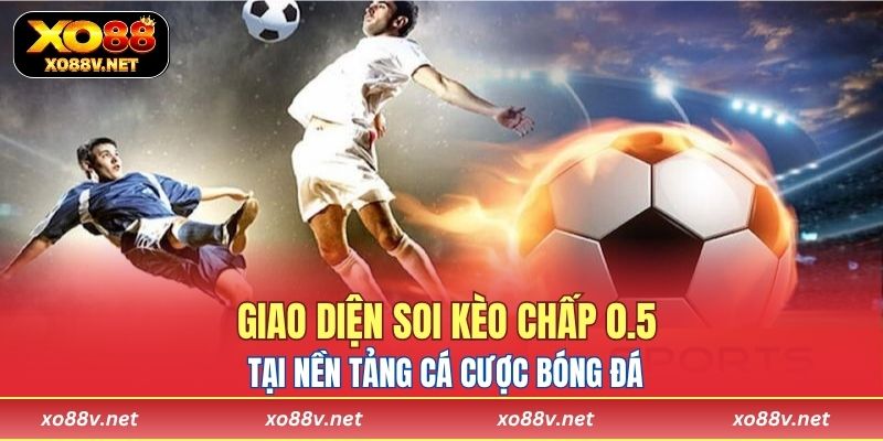 Giao diện minh họa khi soi kèo chấp 0.5 tại nền tảng cá cược bóng đá