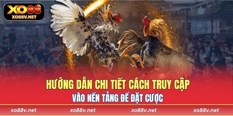 Hướng dẫn chi tiết cách truy cập vào nền tảng để đặt cược