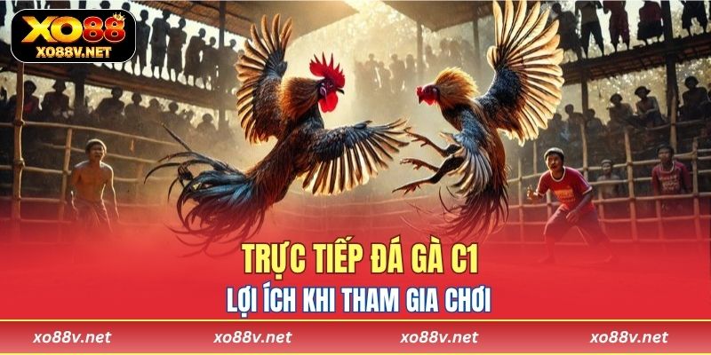 Lợi ích khi tham gia chơi