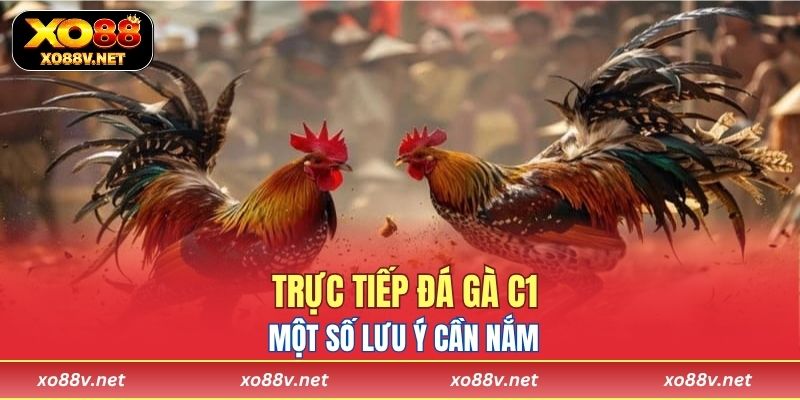 Một số lưu ý cần nắm