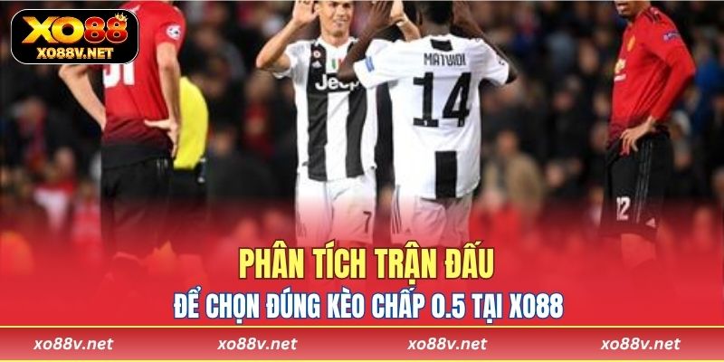 Phân tích trận đấu để chọn đúng kèo chấp 0.5 tại XO88