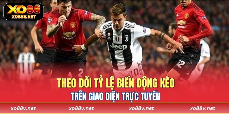 Người chơi dễ dàng theo dõi tỷ lệ biến động kèo trên giao diện trực tuyến