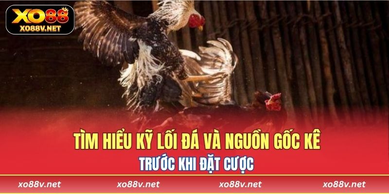Đá gà Thomo tích hợp hệ thống bảo mật, giao diện thân thiện và rút nạp nhanh chóng